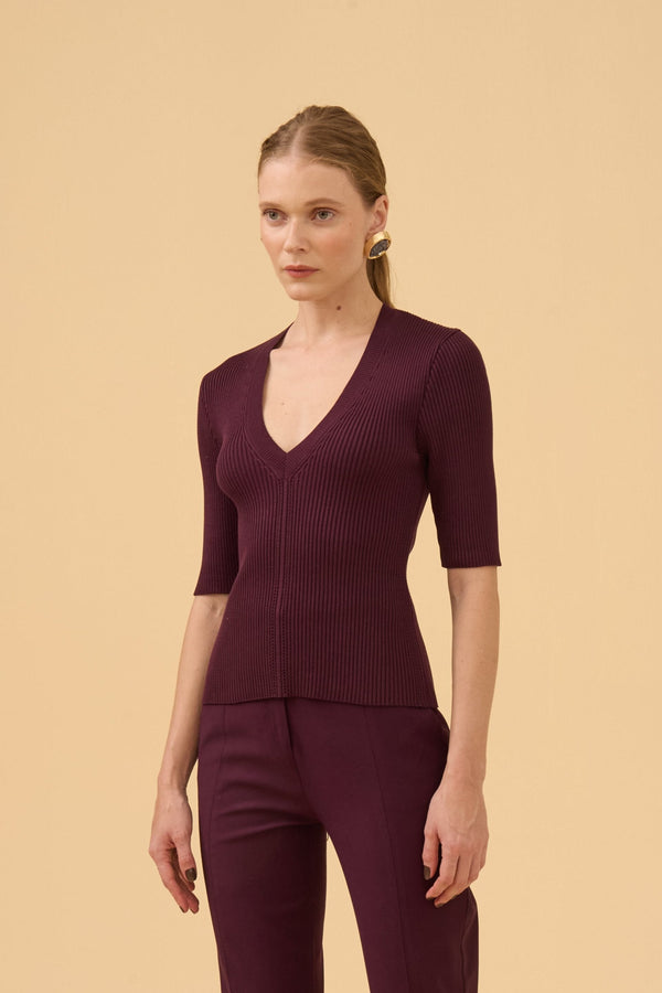 Blusa Decote V Manga Curta Canelada Em Tricot Ameixa